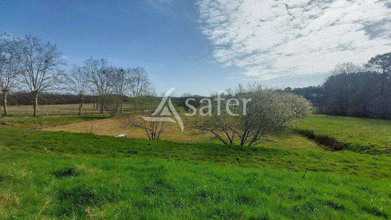 Other agricultural property  Gironde