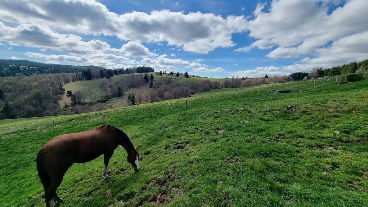 Equestrian Bed and Breakfast  Ard&egrave;che