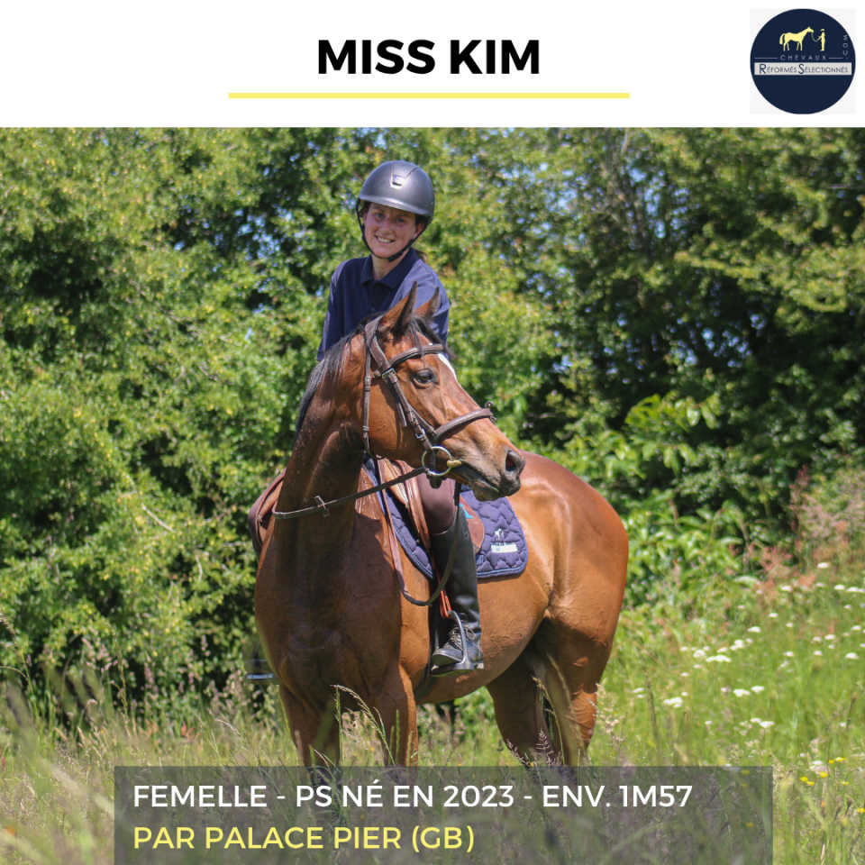 Mare Thoroughbred For sale 2023 Bay