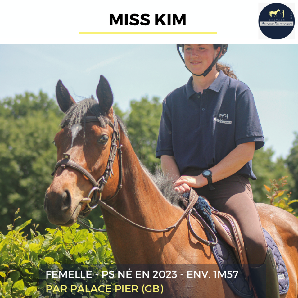 Mare Thoroughbred For sale 2023 Bay