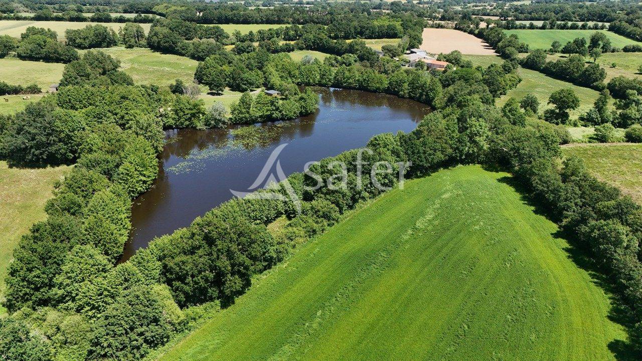 Other country property  Vend&eacute;e