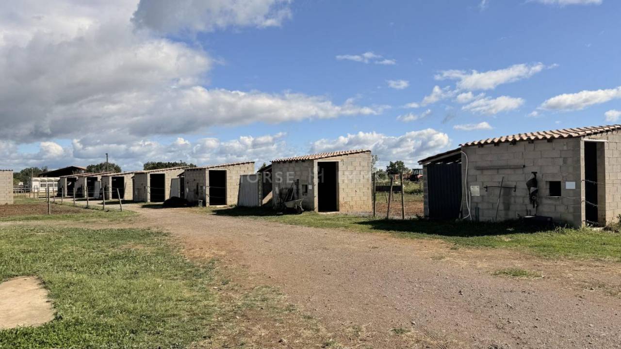 Equestrian property  H&eacute;rault