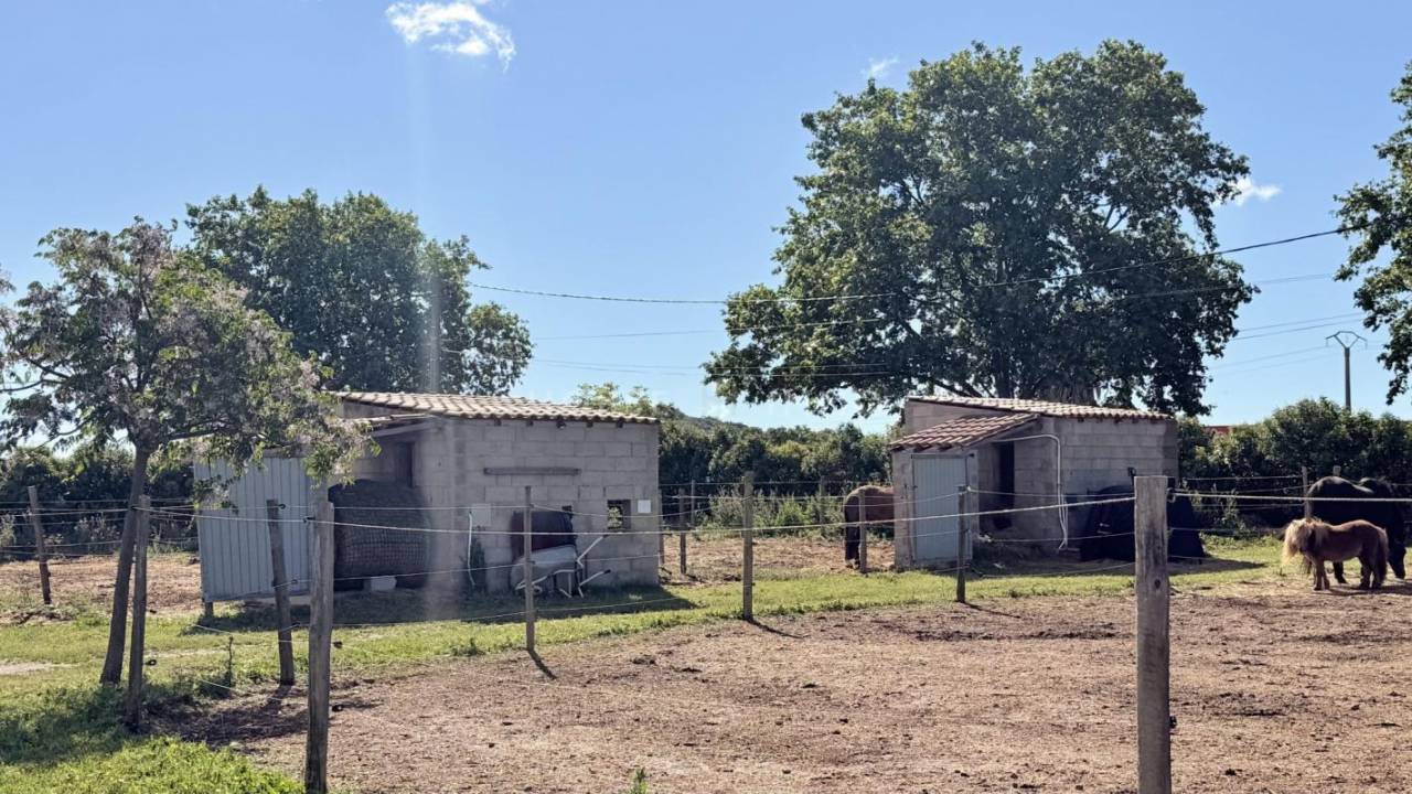Equestrian property  H&eacute;rault