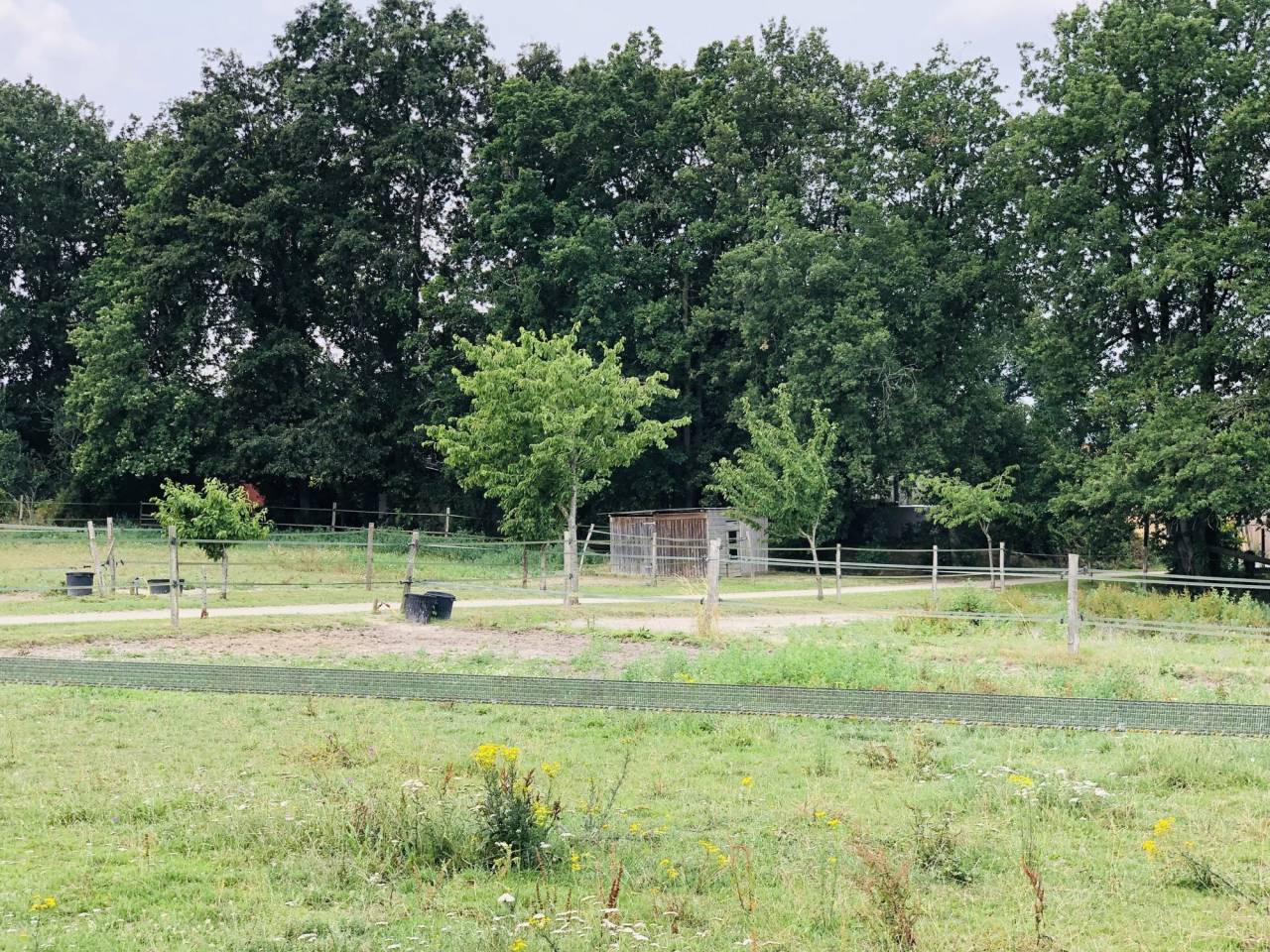 Equestrian Bed and Breakfast  Maine-et-Loire