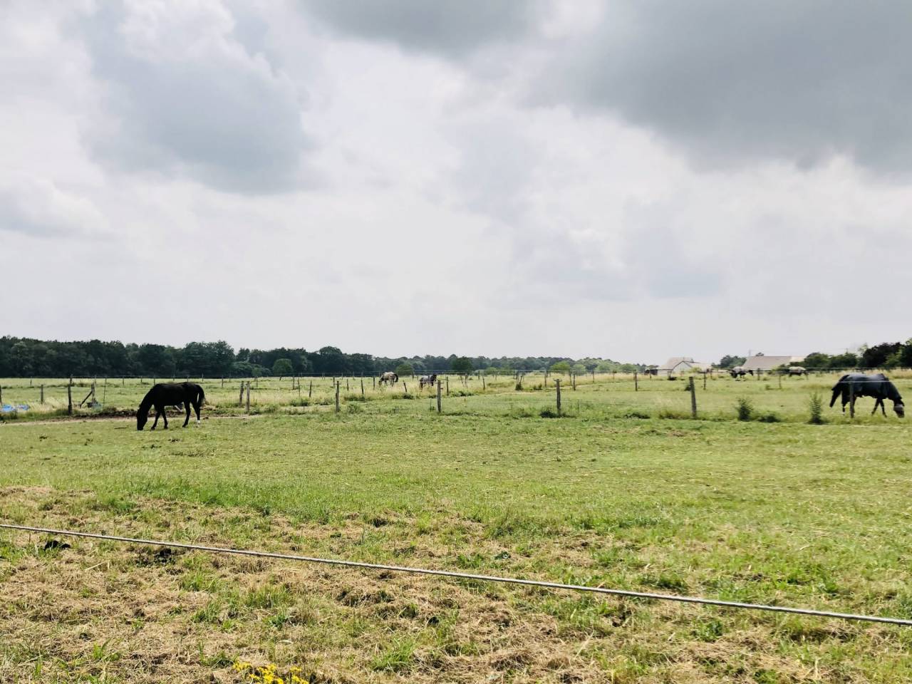 Equestrian Bed and Breakfast  Maine-et-Loire