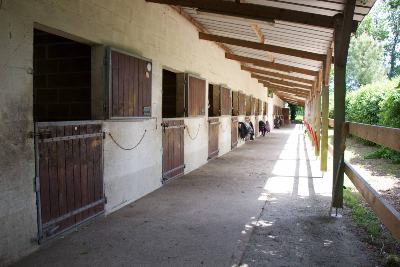 Equestrian Bed and Breakfast  Maine-et-Loire