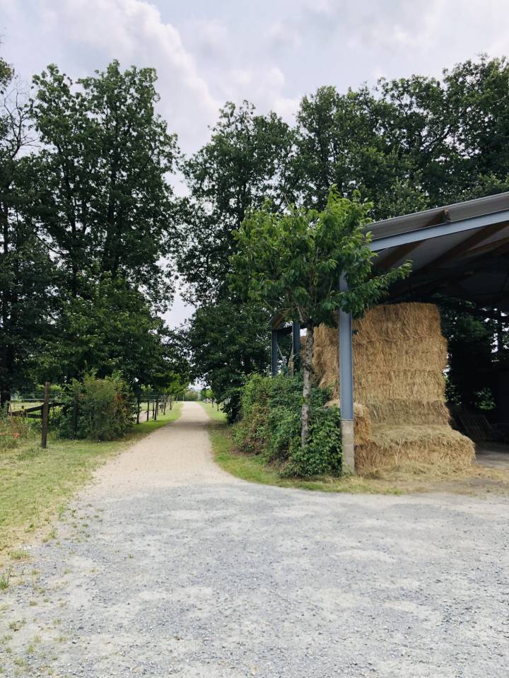 Equestrian Bed and Breakfast  Maine-et-Loire