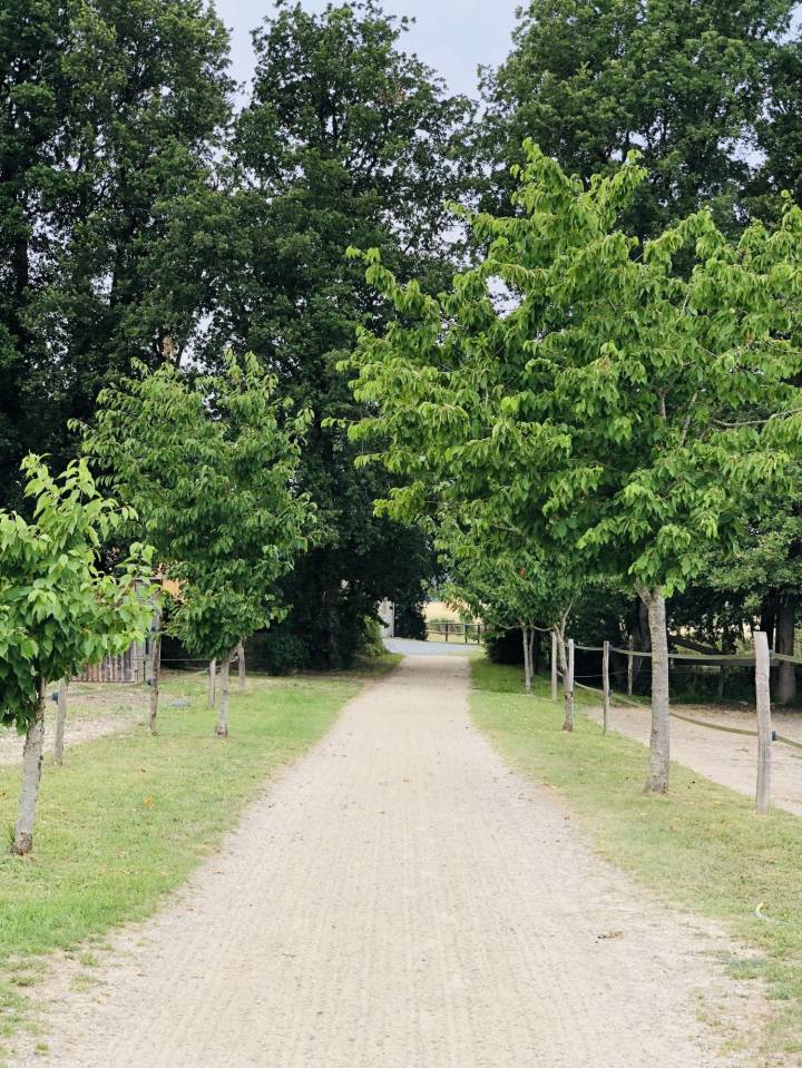 Equestrian Bed and Breakfast  Maine-et-Loire