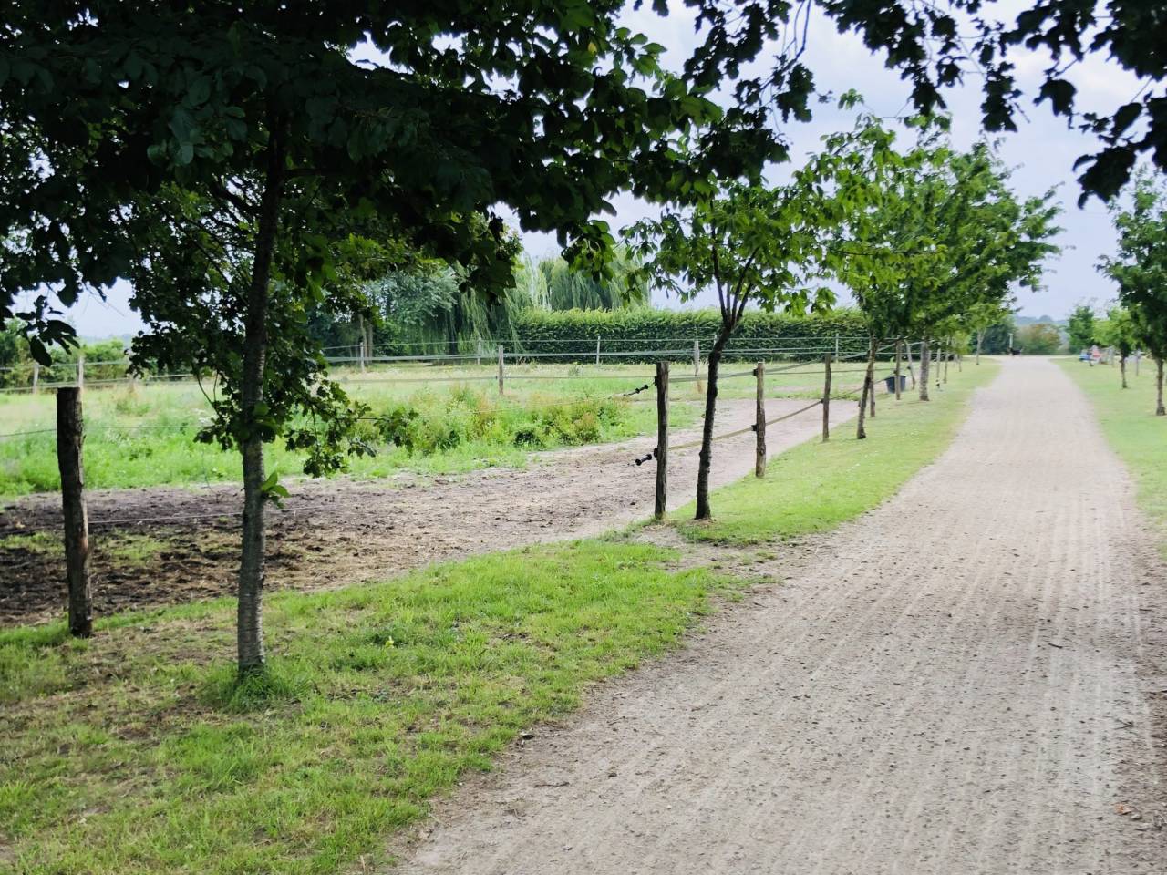 Equestrian Bed and Breakfast  Maine-et-Loire