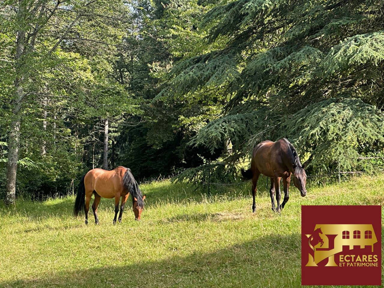 Equestrian Bed and Breakfast  Sa&ocirc;ne-et-Loire