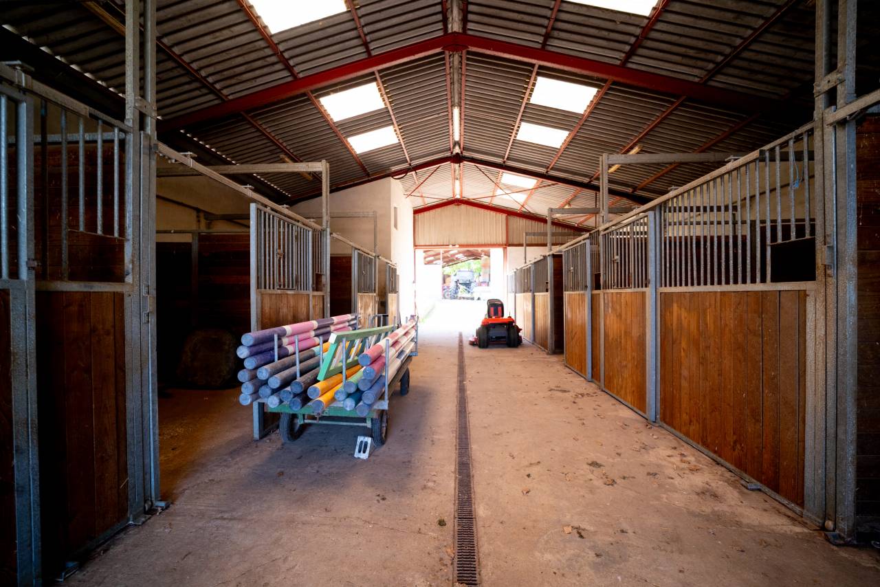 Equestrian property  Ain