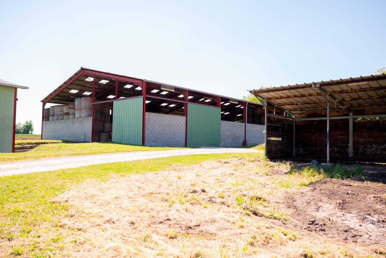 Equestrian property  Ain