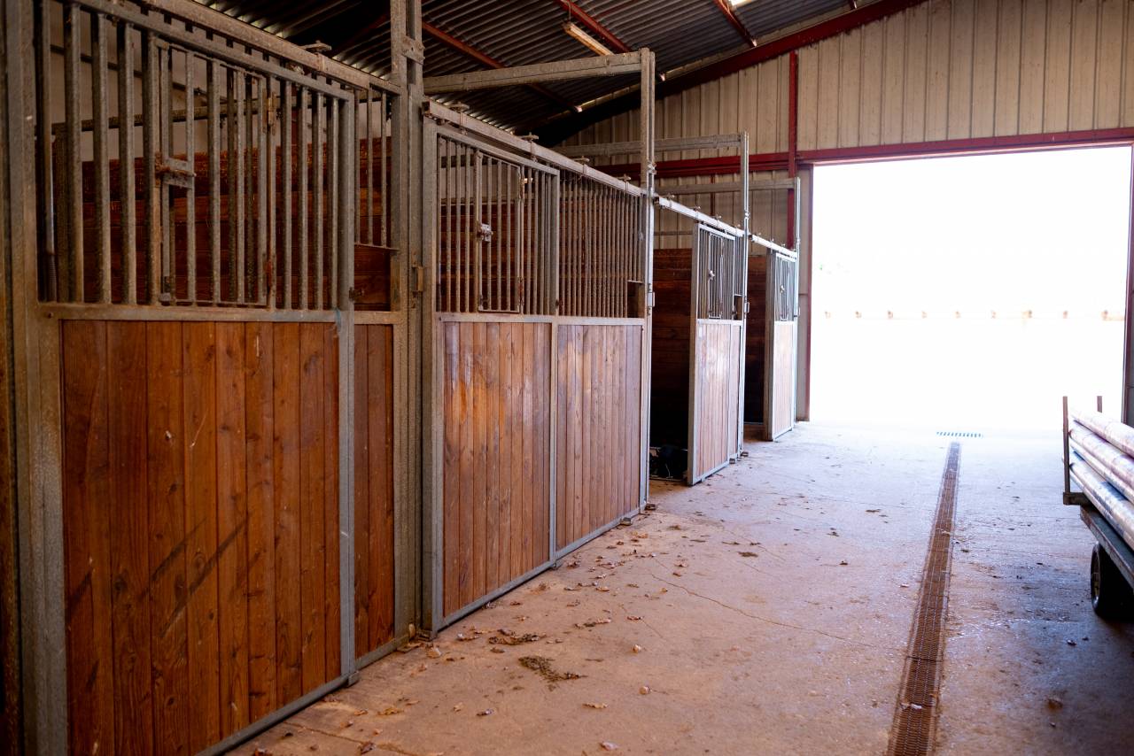 Equestrian property  Ain