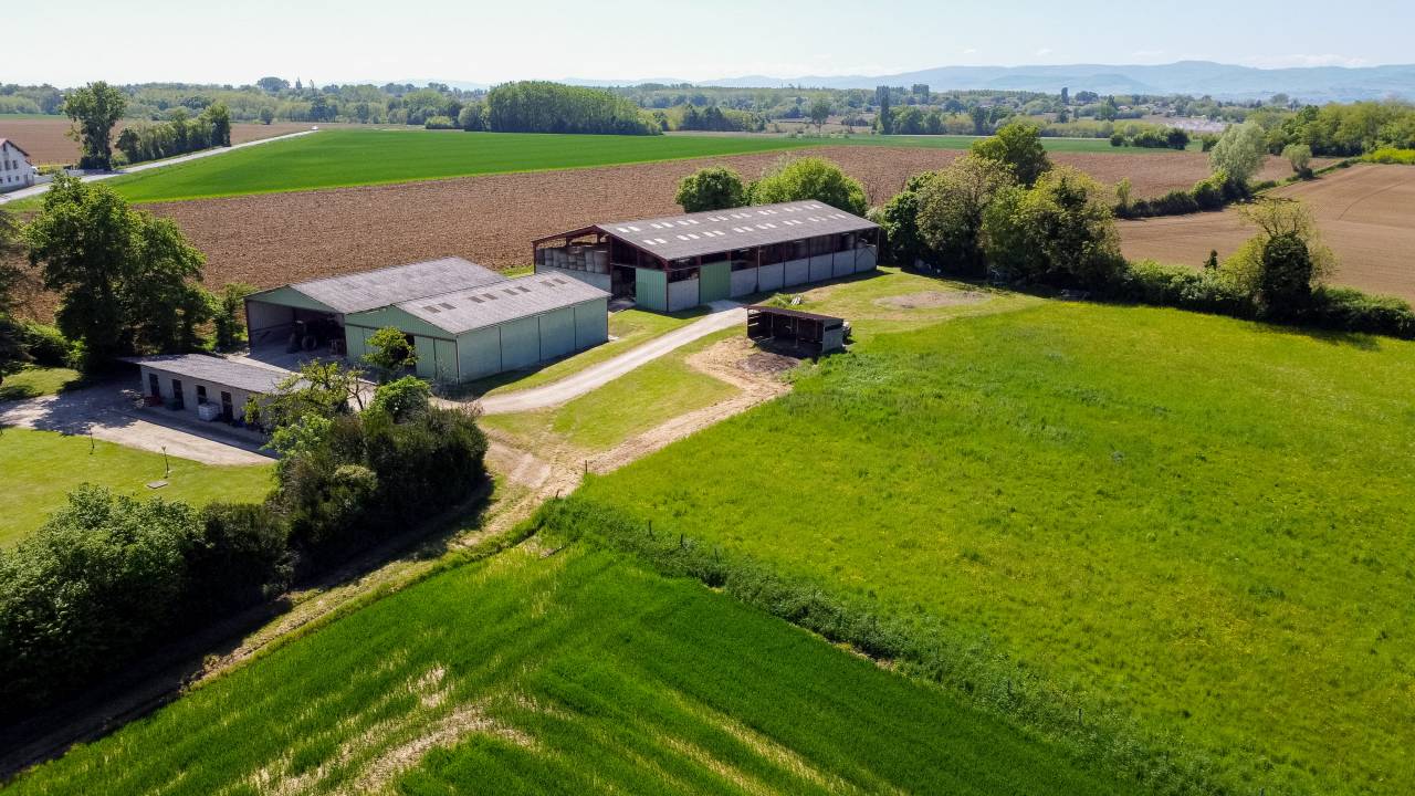 Equestrian property  Ain