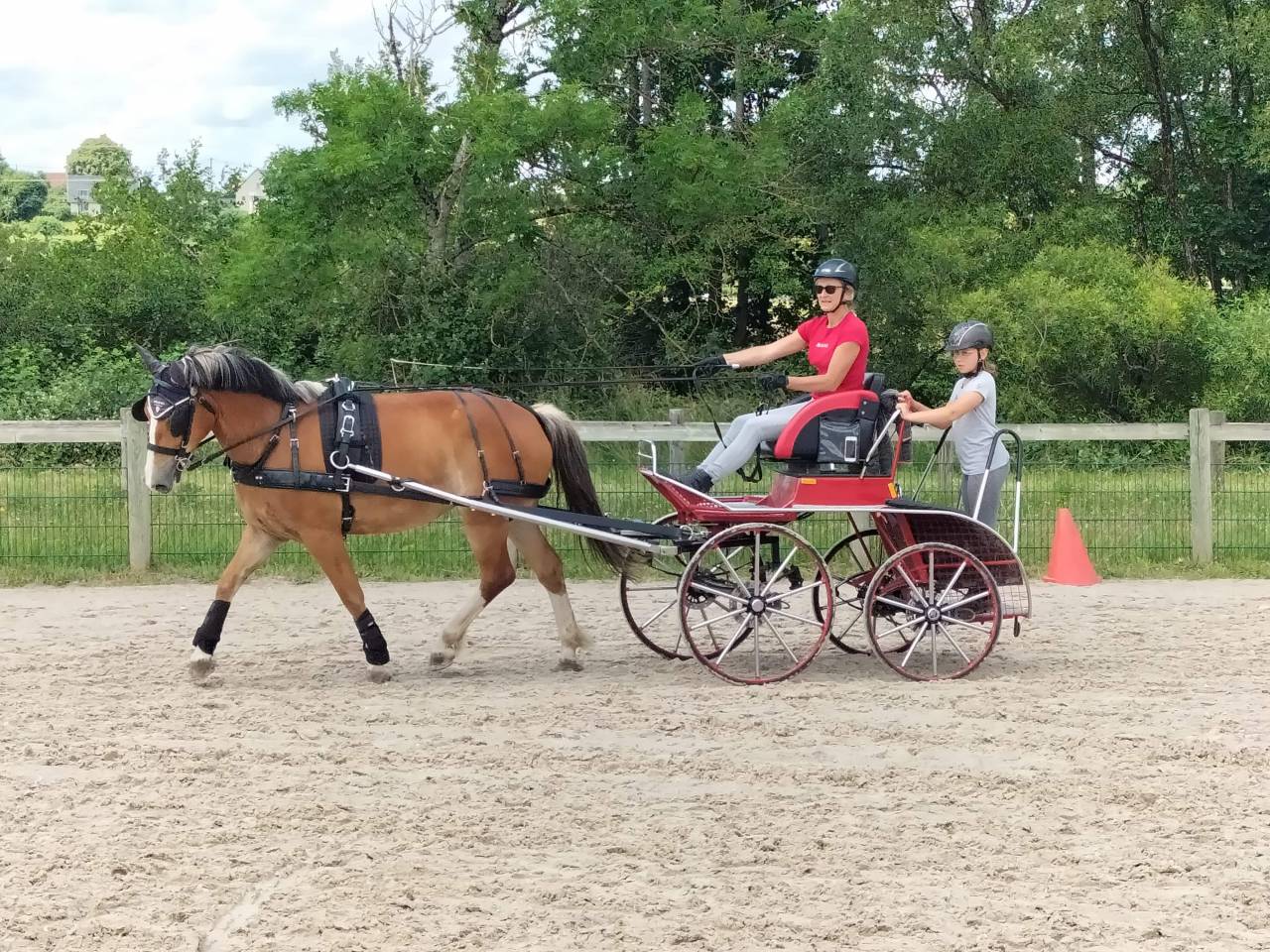 Carriage - Marathon for competition  Polonais competition  