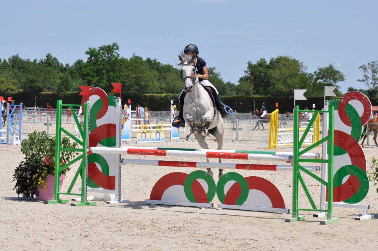 Mare Other Pony Breed For sale 2013 Bay