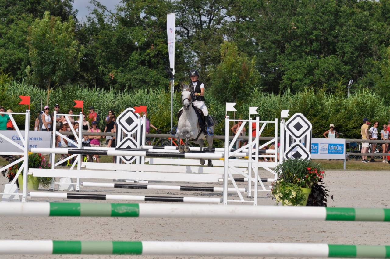 Mare Other Pony Breed For sale 2013 Bay