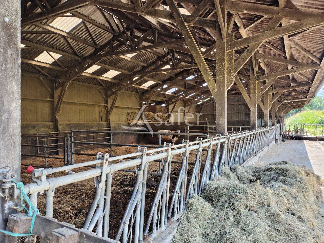 Dairy farm  Mayenne