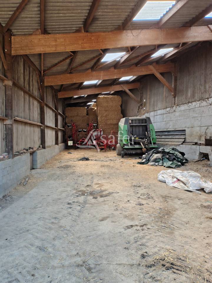 Dairy farm  Mayenne