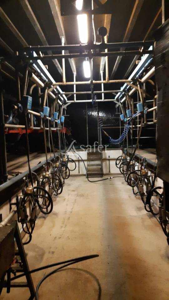 Dairy farm  Mayenne