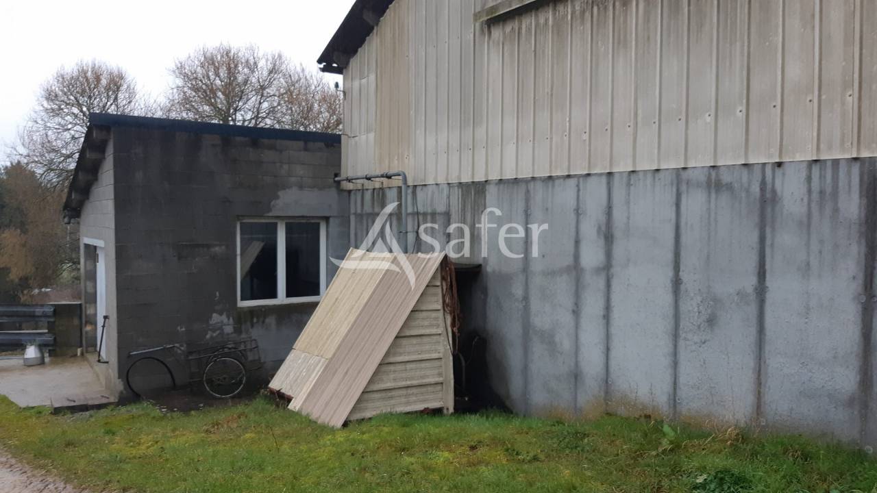 Dairy farm  Mayenne