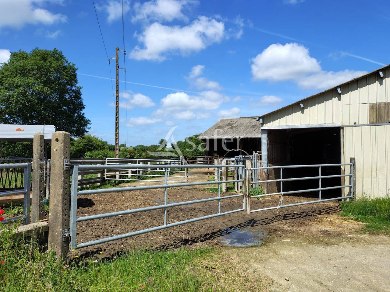 Dairy farm  Mayenne
