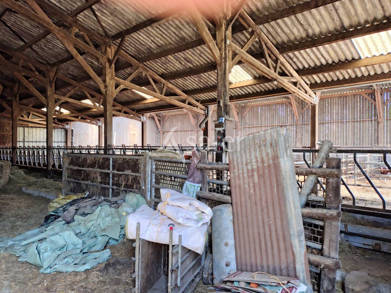 Dairy farm  Mayenne