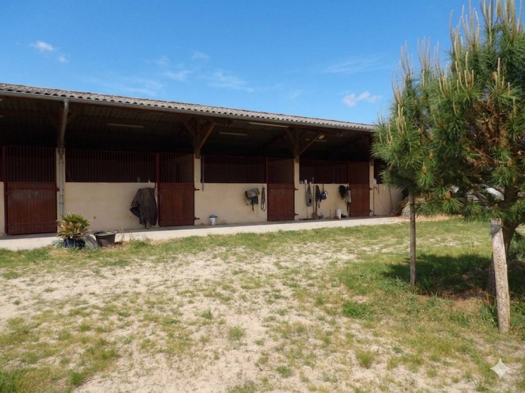 Livery yard  Landes