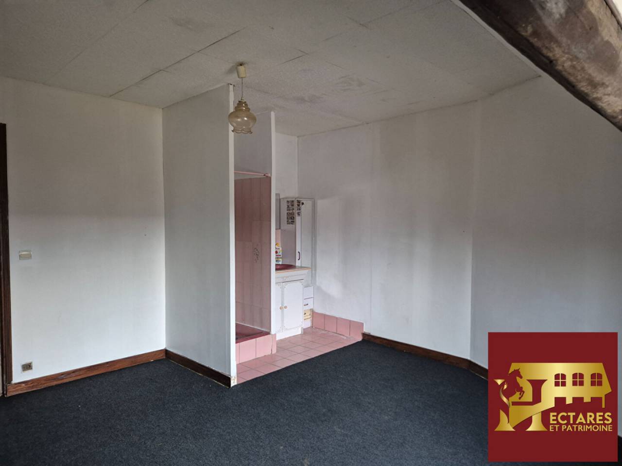 Equestrian property  Yonne