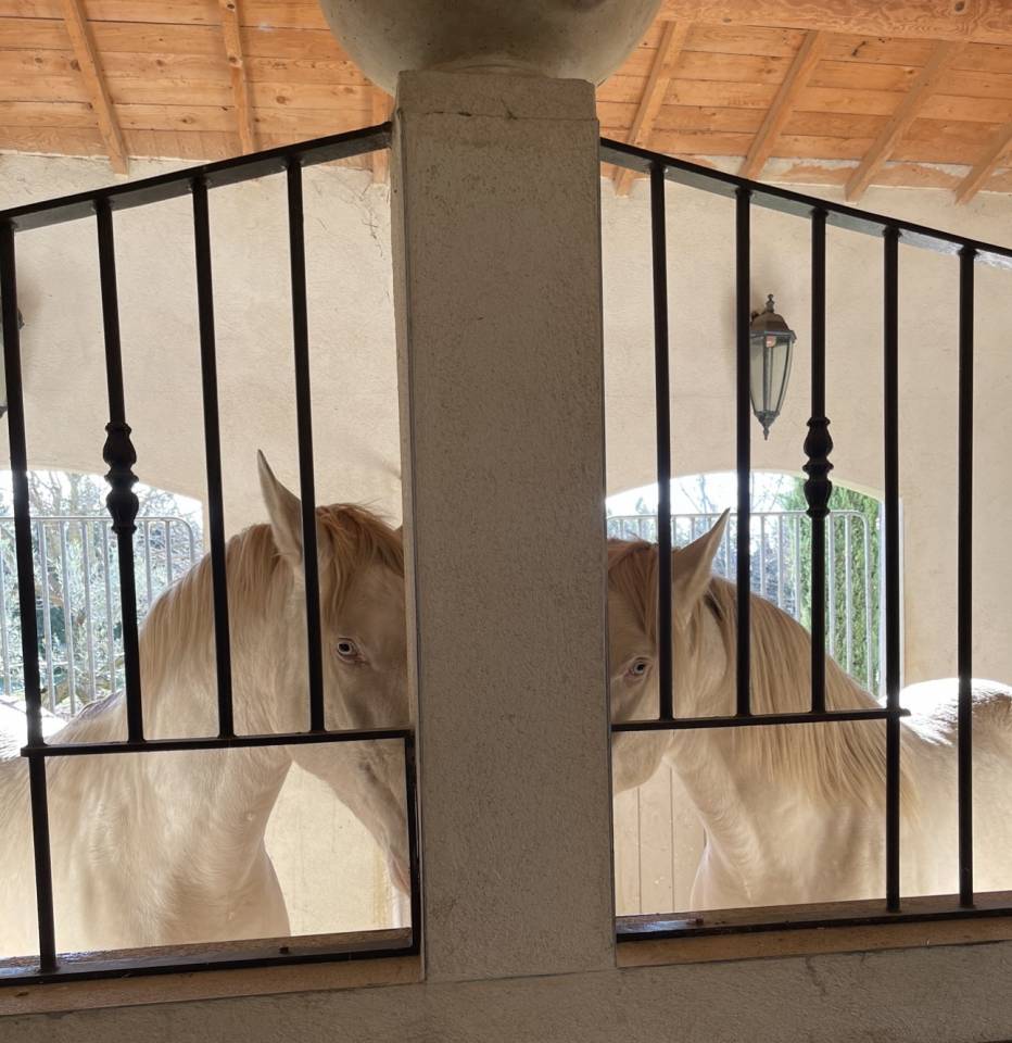 Luxurious equestrian property  Bouches-du-Rh&ocirc;ne