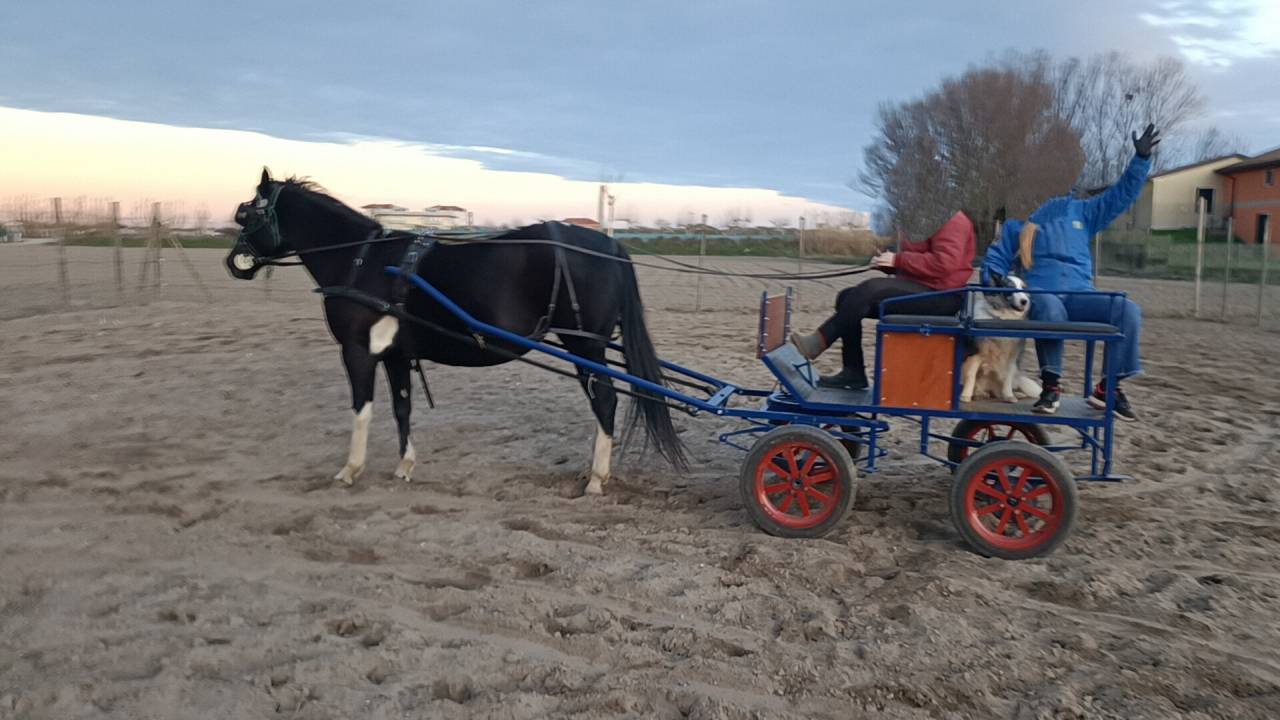 Carriage - Fiacre - Other brand -  