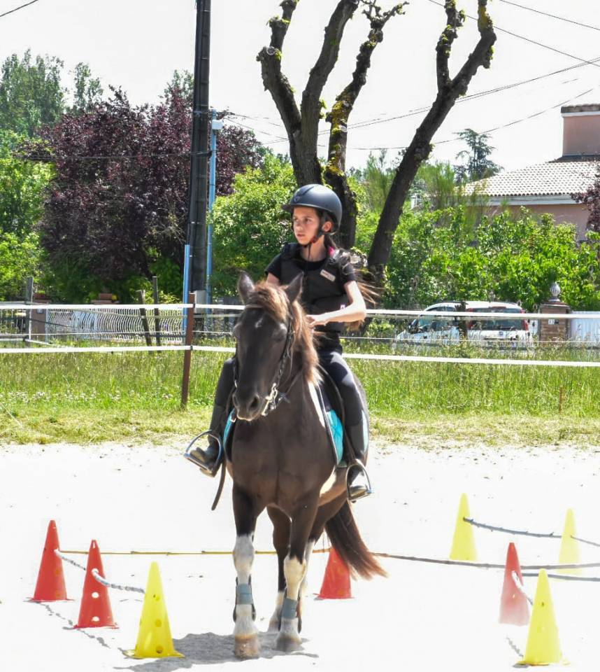 Riding teacher - Self employed Half time - Haute-Garonne France
