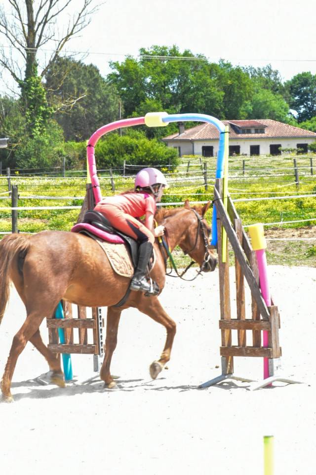 Riding teacher - Self employed Half time - Haute-Garonne France