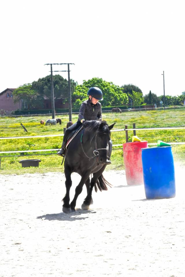 Riding teacher - Self employed Half time - Haute-Garonne France