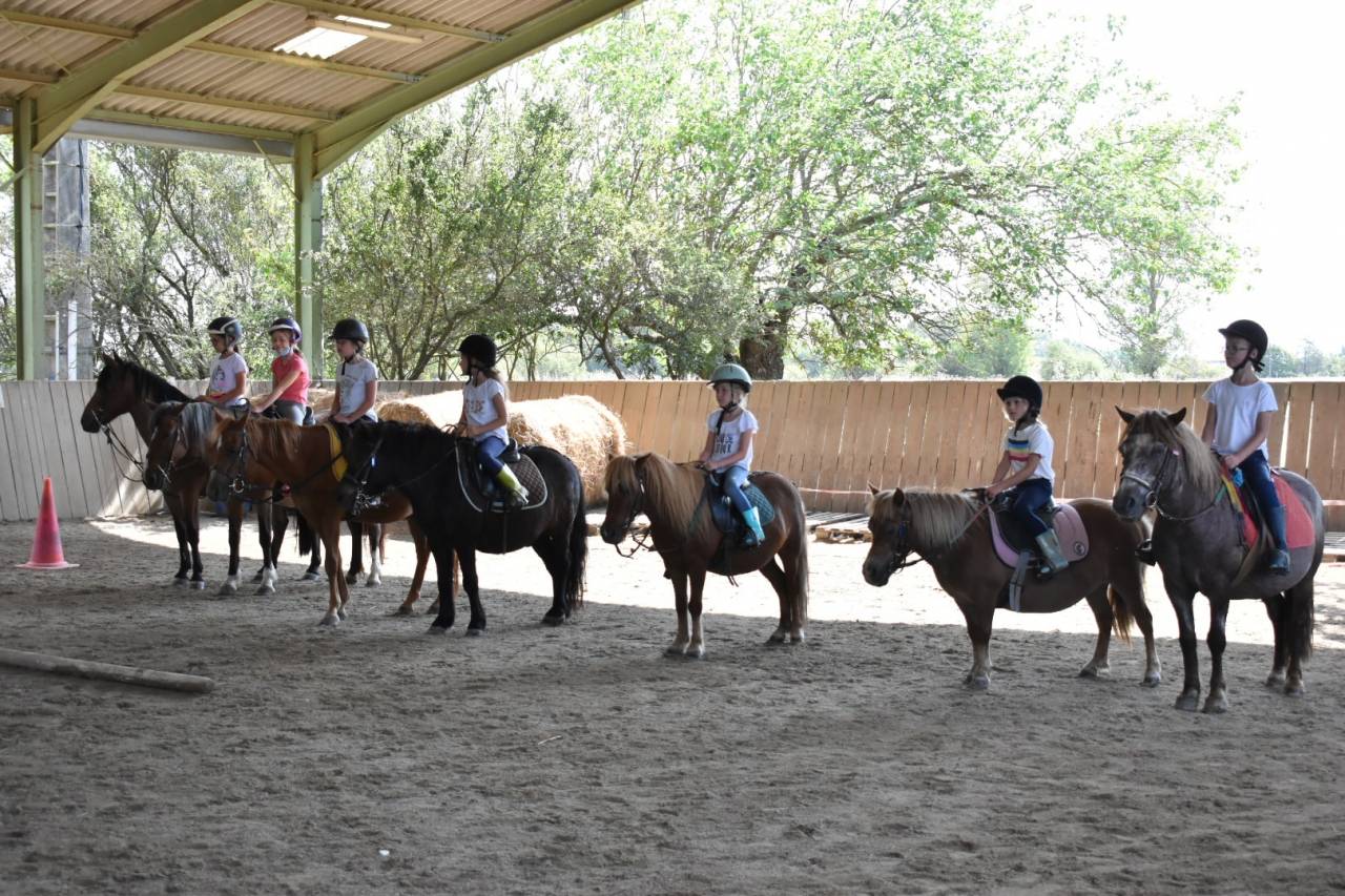 Riding teacher - Self employed Half time - Haute-Garonne France