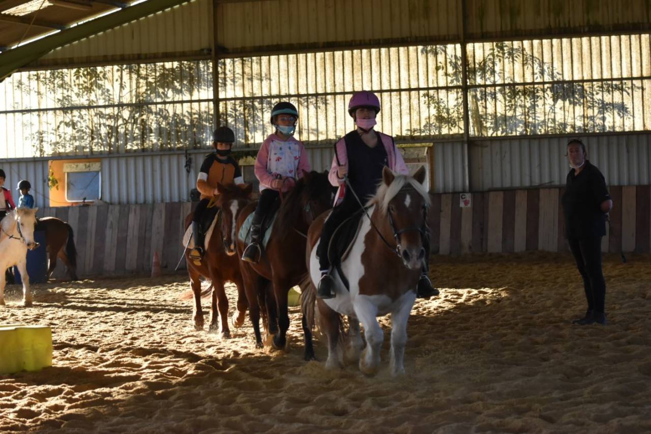 Riding teacher - Self employed Half time - Haute-Garonne France