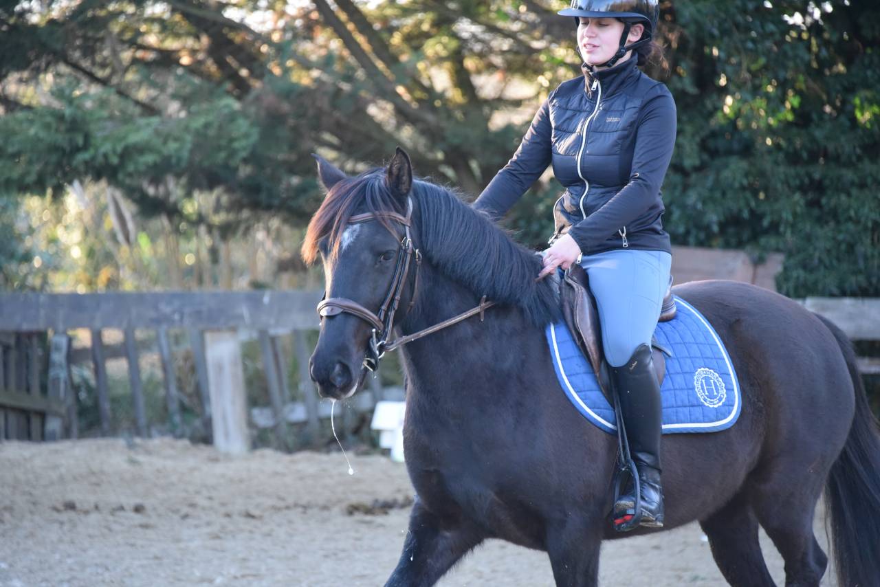 Mare Origin Recorded For sale 2021 Black