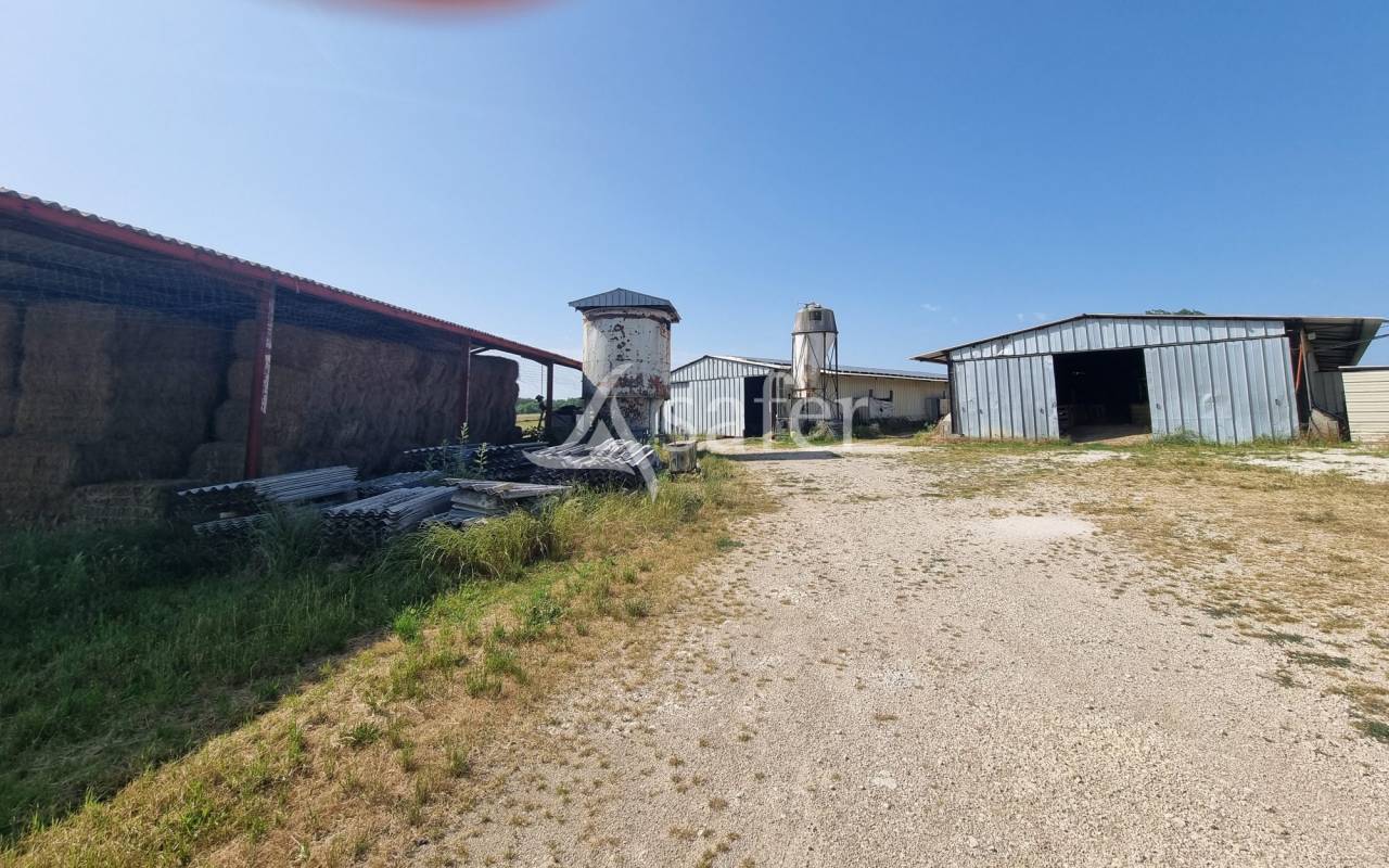 Sheep farm  Lot