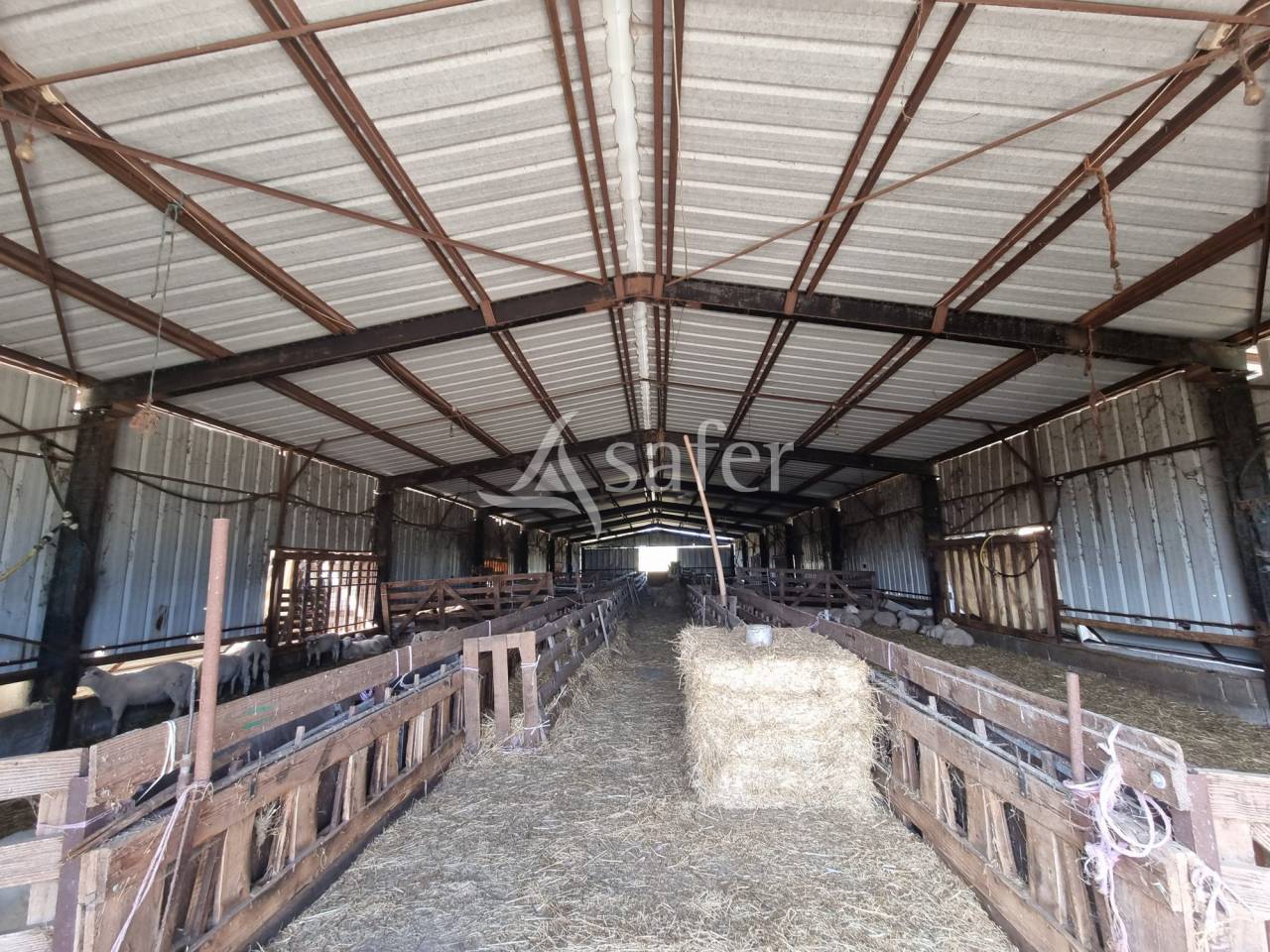 Sheep farm  Lot
