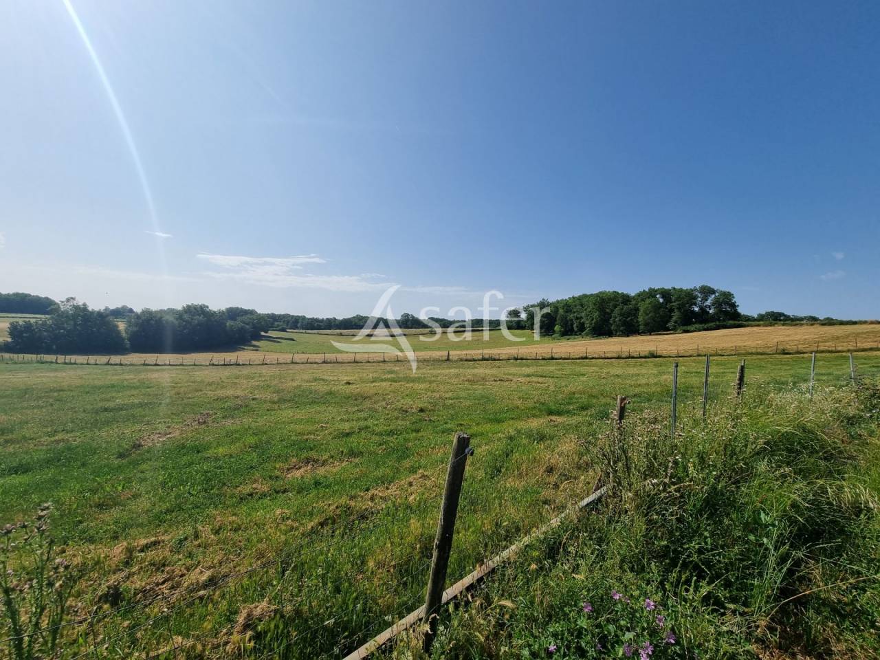 Sheep farm  Lot