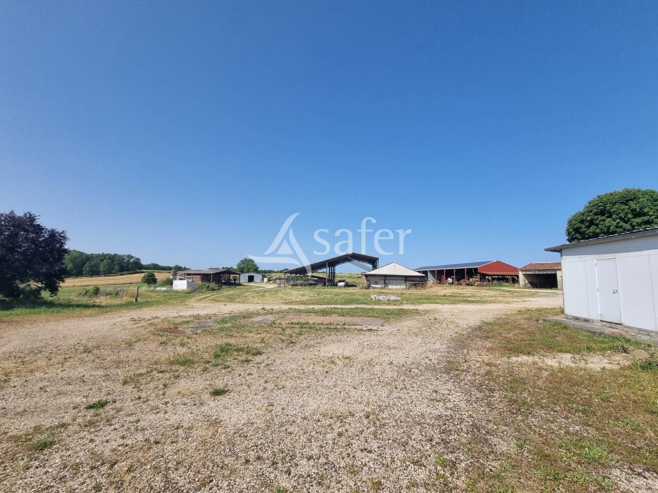 Sheep farm  Lot