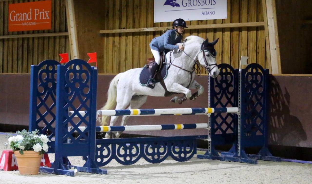 Gelding Connemara For sale 2011 Grey
