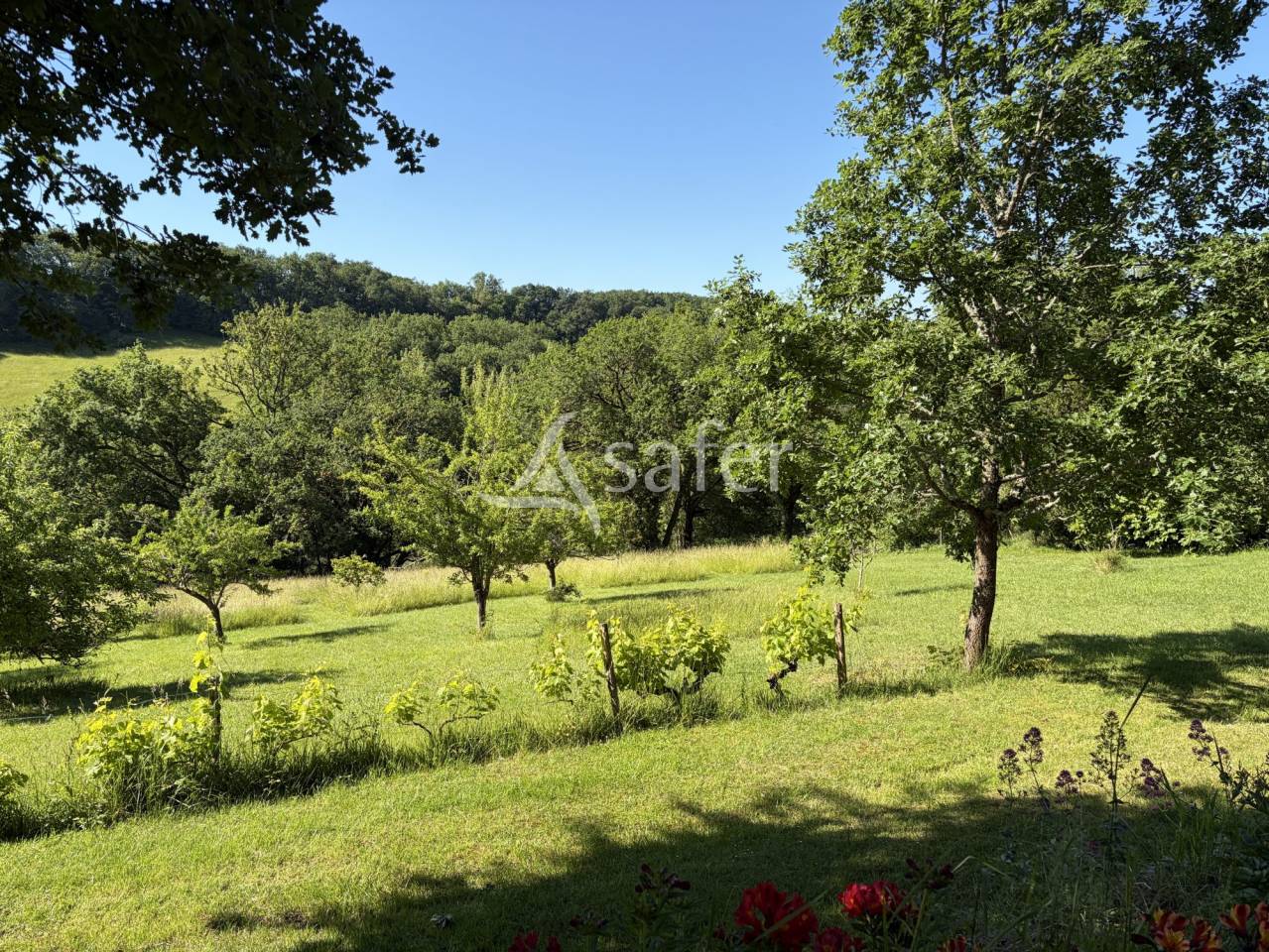 Other agricultural property  Lot-et-Garonne