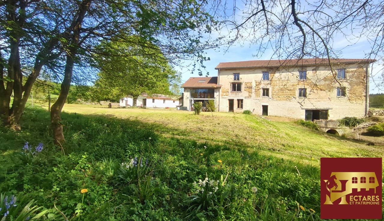Equestrian property  Ain