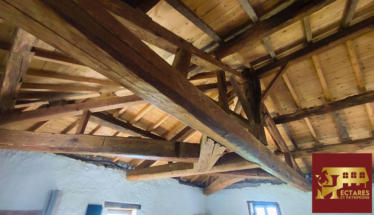 Equestrian property  Ain