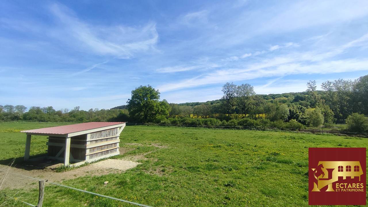 Equestrian property  Ain