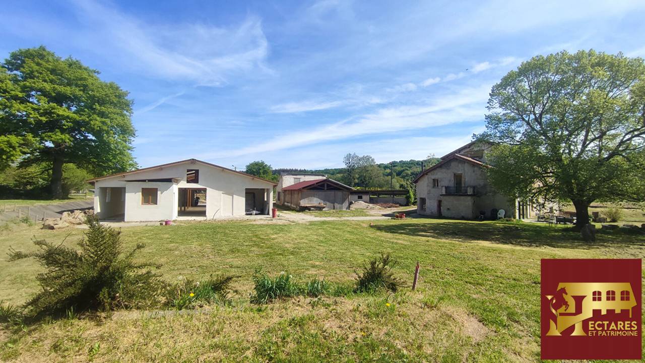 Equestrian property  Ain