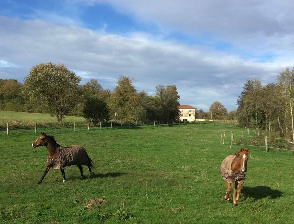 Equestrian property  Ain