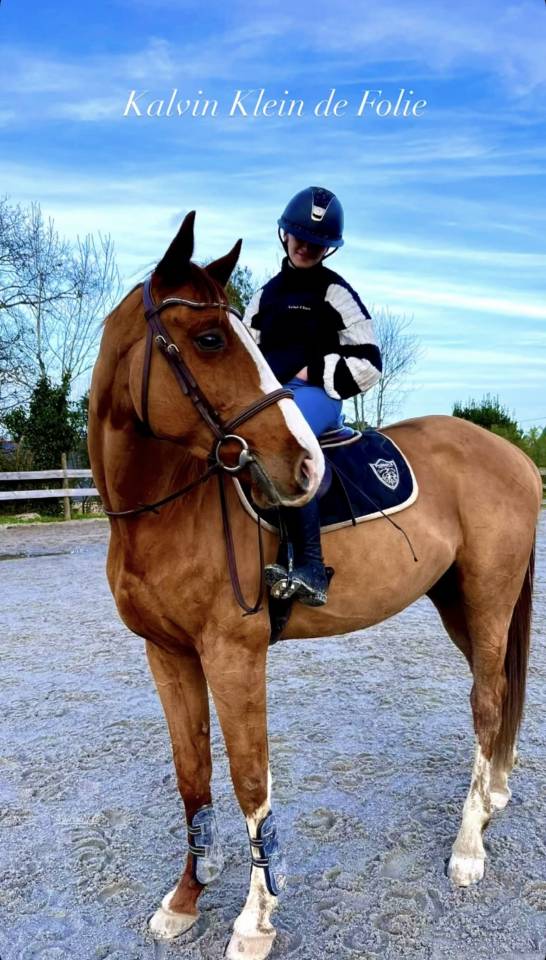Gelding Selle Fran&ccedil;ais For sale 2020 Chesnut