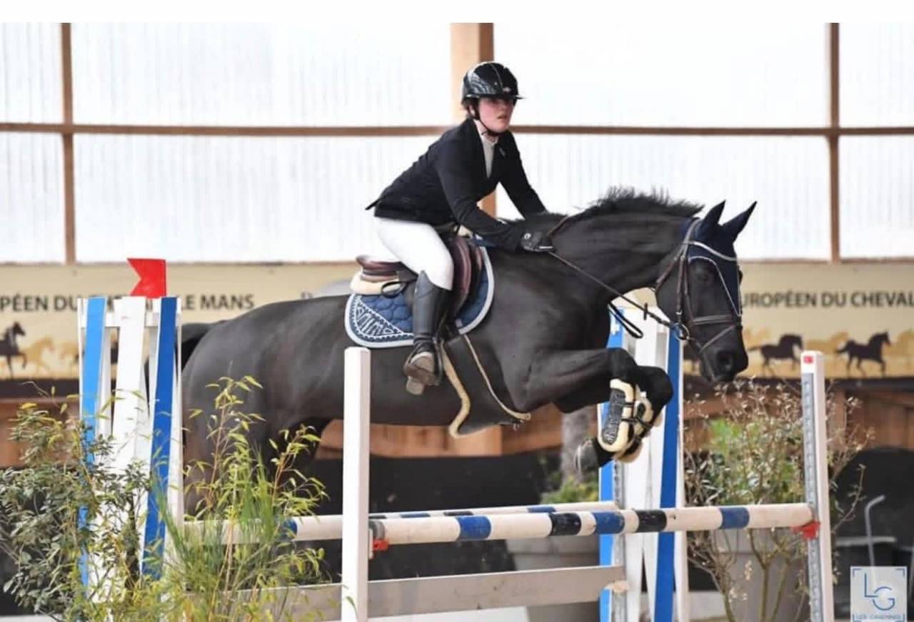 Broodmare Selle Fran&ccedil;ais For sale 2005 Black